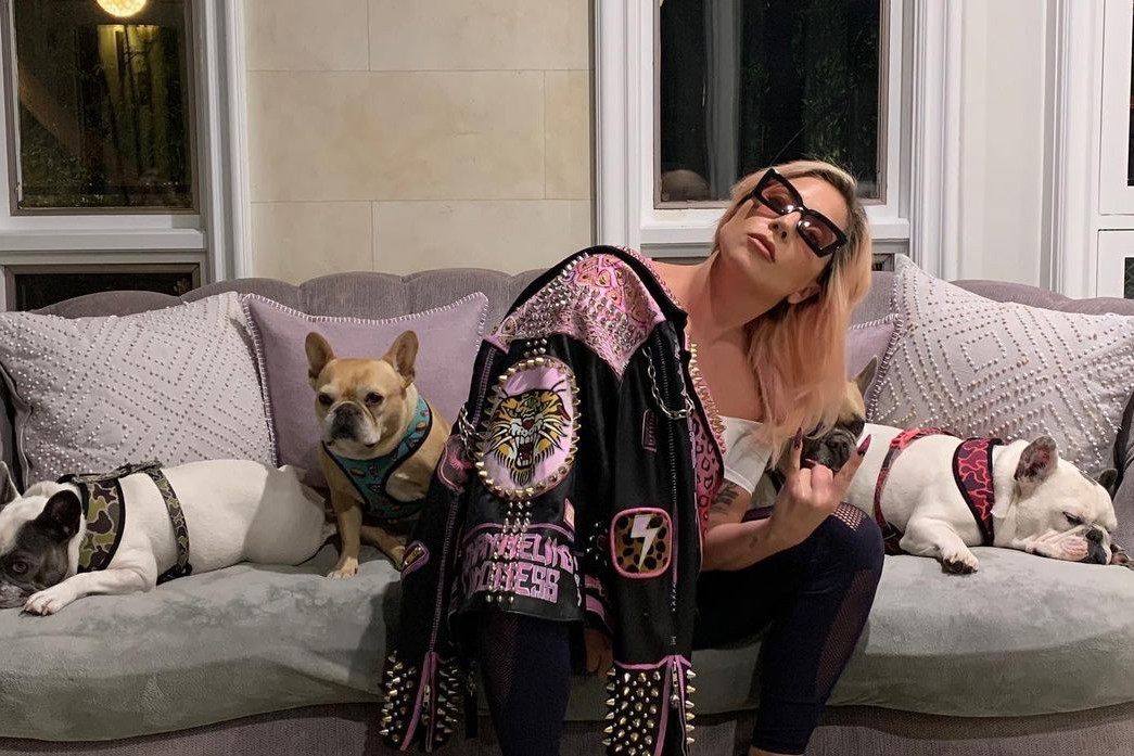Buldożki Lady Gagi odnalezione