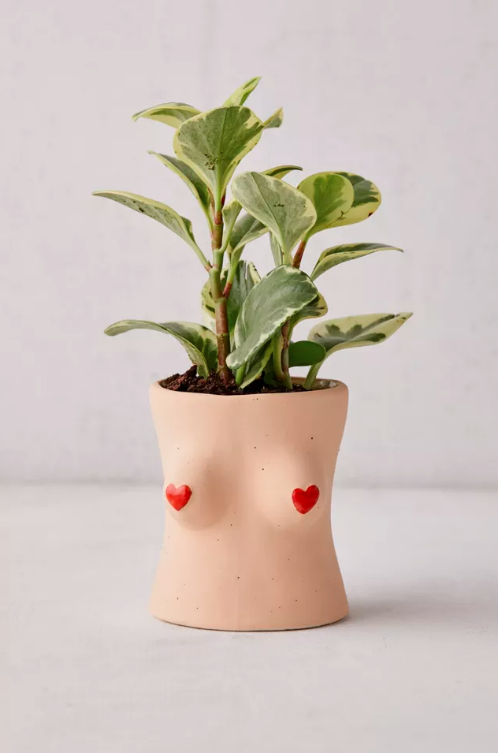 Wazon Urban Outfitters, ok 45 zł
