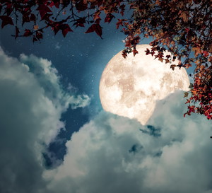 Horoskop tygodniowy miłosny na 22-28 marca 2021 dla każdego znaku zodiaku