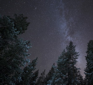 Horoskop tygodniowy miłosny na 19-25 kwietnia 2021 dla każdego znaku zodiaku. Sprawdź, co się wydarzy!