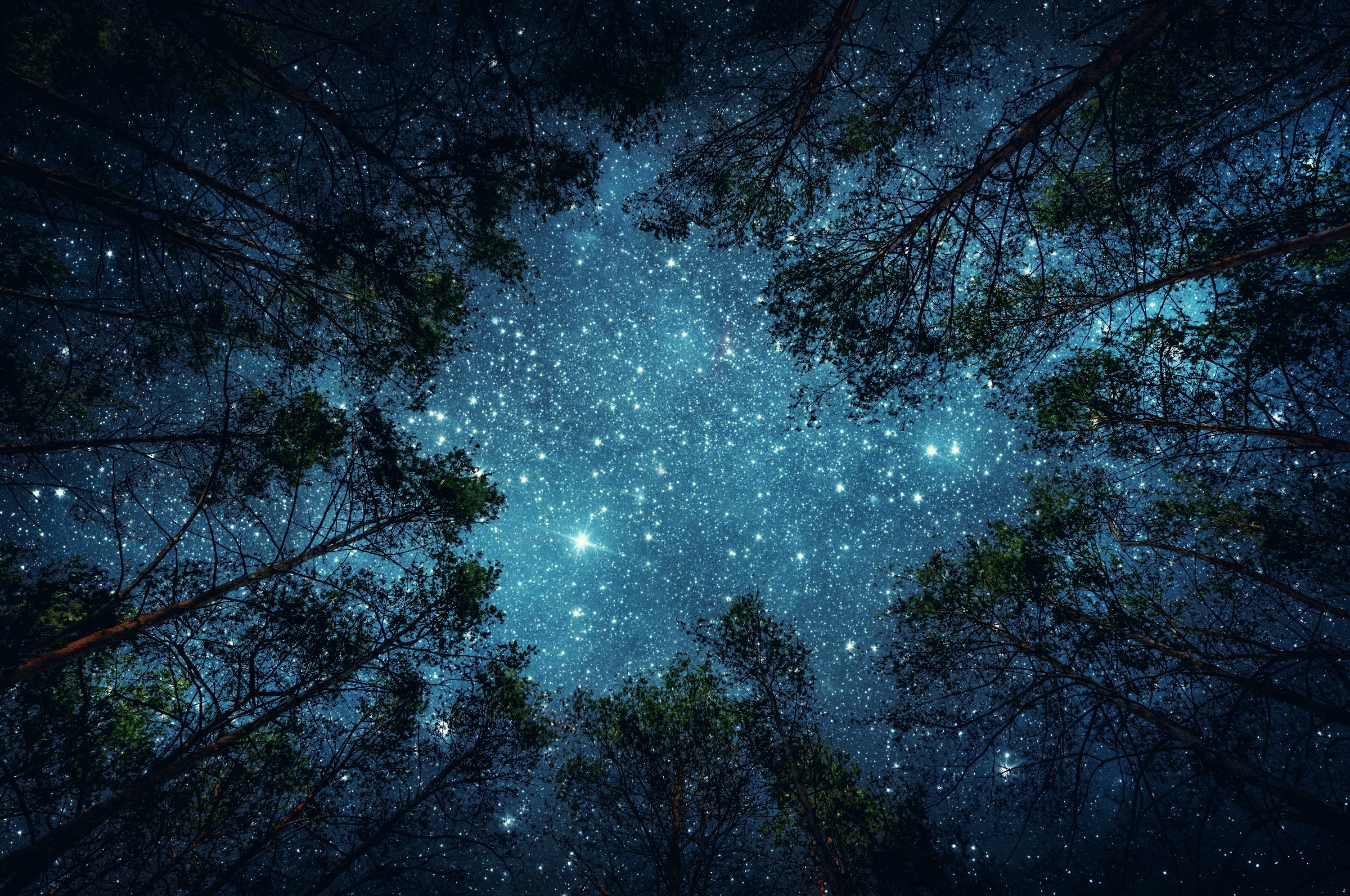 Horoskop tygodniowy miłosny na 3-9 maja 2021 roku dla każdego znaku zodiaku. Sprawdź, co mówią gwiazdy!