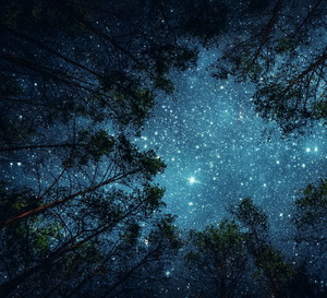 Horoskop tygodniowy miłosny na 3-9 maja 2021 roku dla każdego znaku zodiaku. Sprawdź, co mówią gwiazdy!