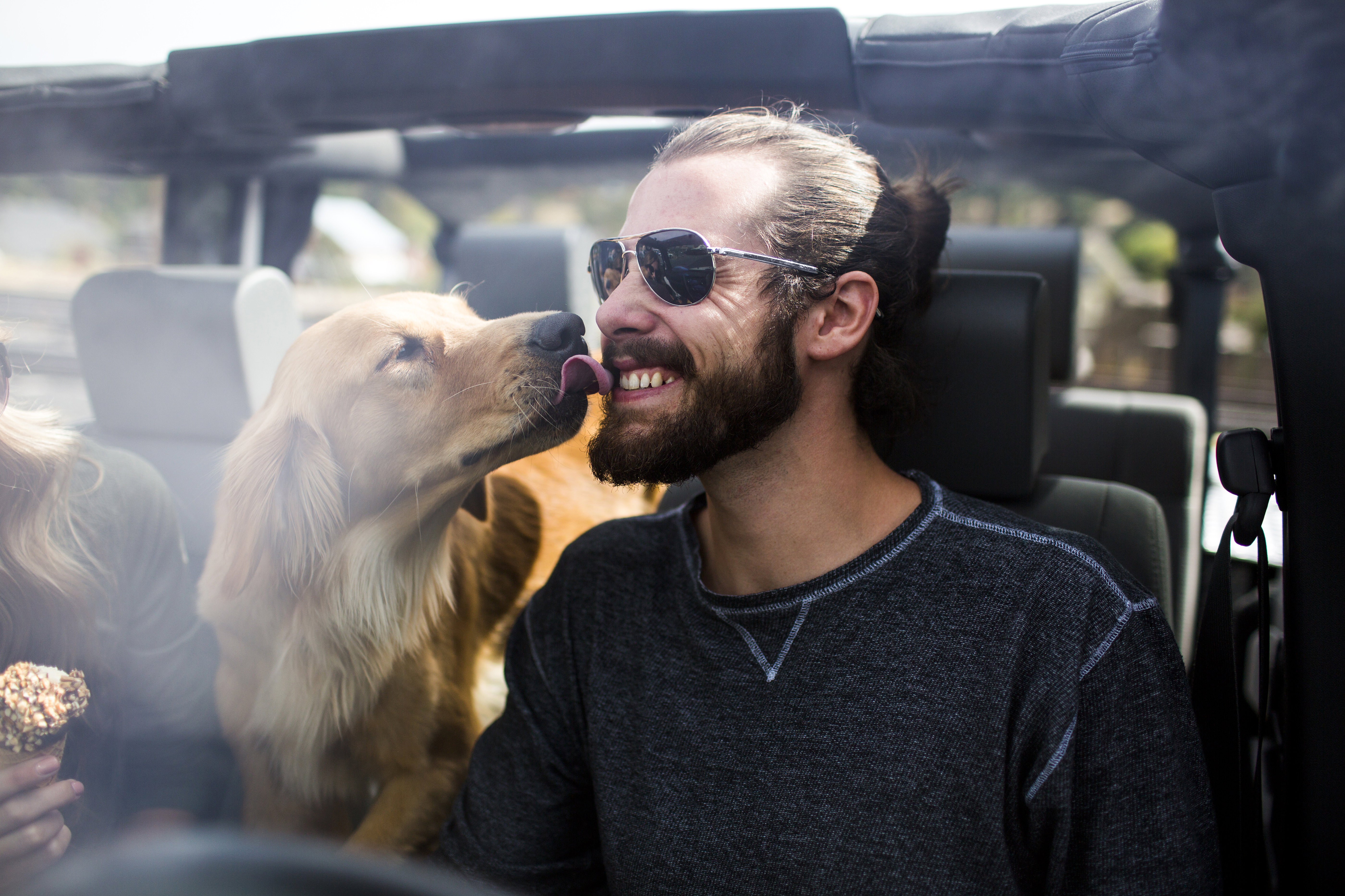 Dog licking young mans bearded face in jeep