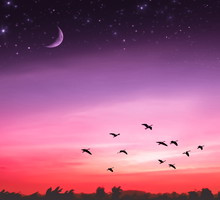 Horoskop tygodniowy miłosny na 12-18 lipca 2021 roku dla każdego znaku zodiaku