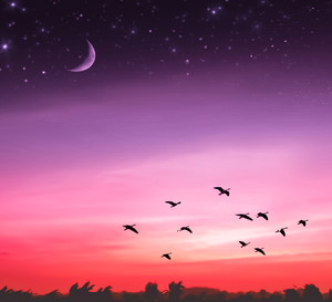 Horoskop tygodniowy miłosny na 12-18 lipca 2021 roku dla każdego znaku zodiaku