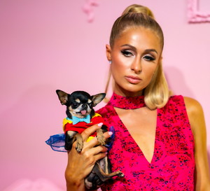 W latach 2000. była królową, teraz powraca! Paris Hilton będzie mieć swój program na Netflixie – „Gotowanie z Paris”. Zobaczcie zwiastun!