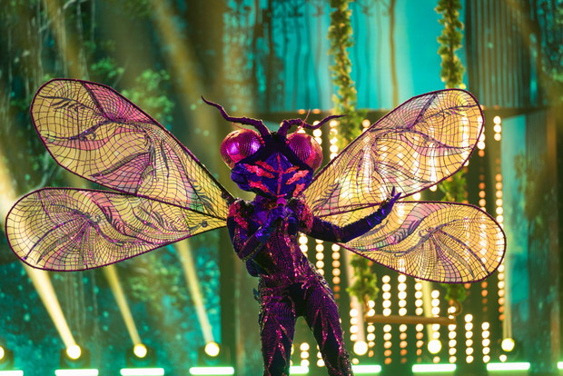 „Mask Singer” – kim jest Ważka?