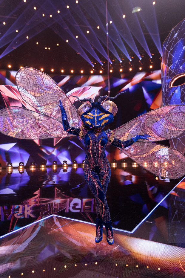 „Mask Singer” – kim jest Ważka?