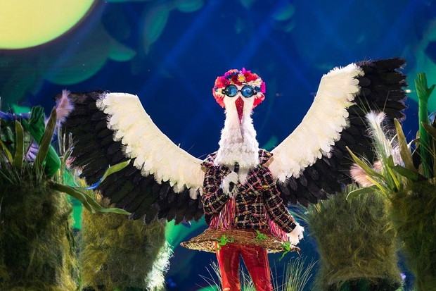 „Mask Singer” – kto odpadł w 4. odcinku?