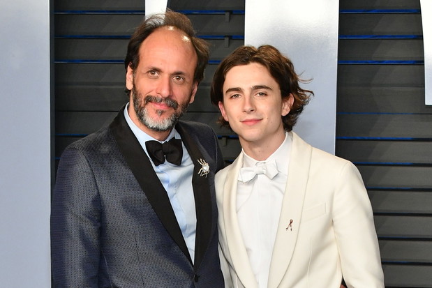 Timothée Chalamet i Luca Guadagnino znów łączą siły