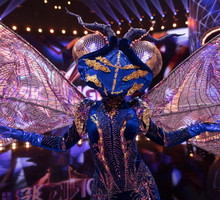 „Mask Singer” – kim jest Ważka?