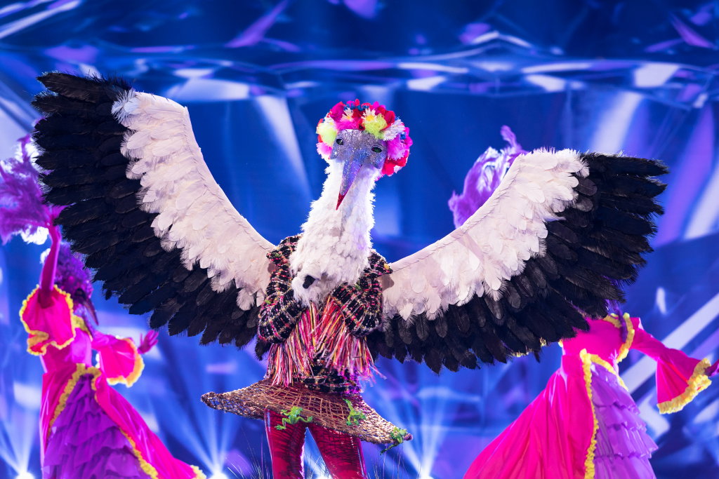 „Mask Singer” – 6. odcinek. Kto odpadł z programu? Wyniki z 09