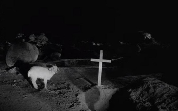 „Bleat”, reż. Yorgos Lanthimos (2022)