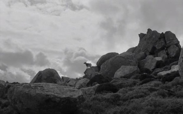 „Bleat”, reż. Yorgos Lanthimos (2022)