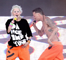Die Antwoord