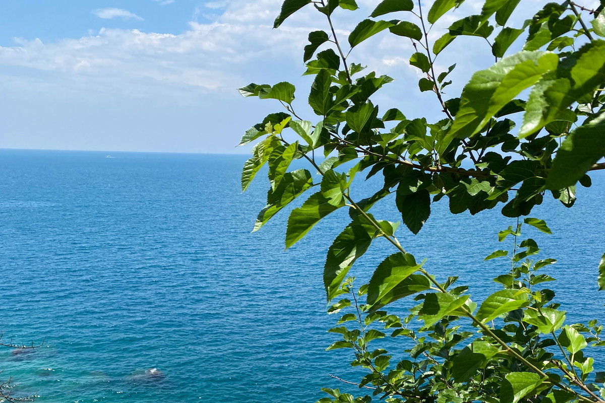 Turcja
