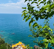 Turcja