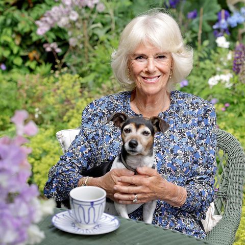 Camilla