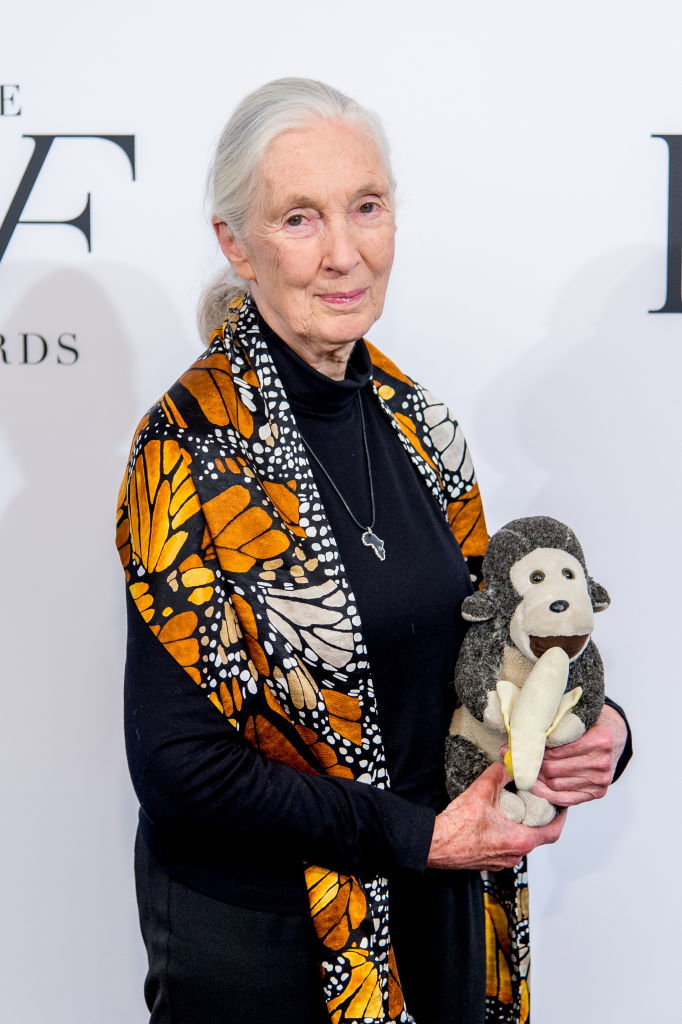 Jane Goodall