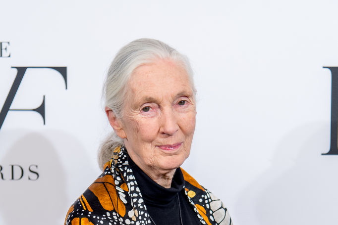 Jane Goodall