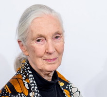 Jane Goodall