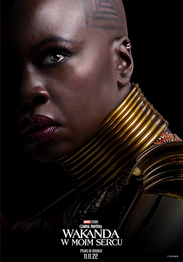 Plakat z filmu „Czarna Pantera: Wakanda w moim sercu”