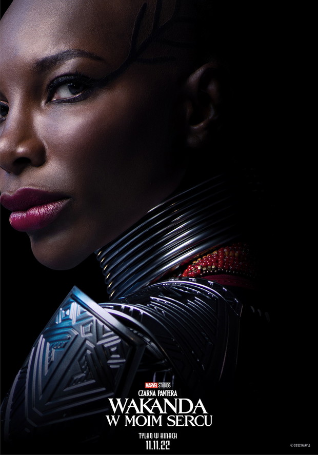 Plakat z filmu „Czarna Pantera: Wakanda w moim sercu”