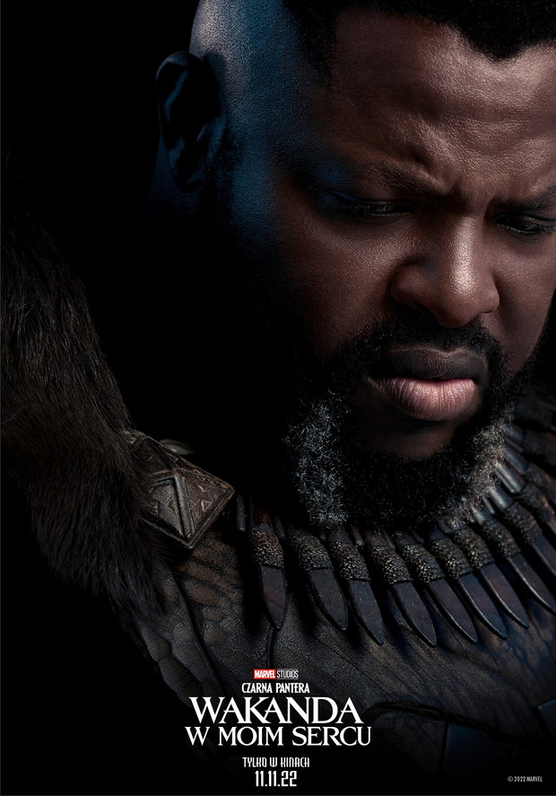 Plakat z filmu „Czarna Pantera: Wakanda w moim sercu”