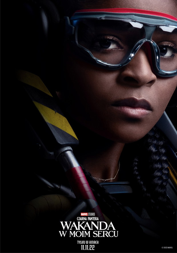 Plakat z filmu „Czarna Pantera: Wakanda w moim sercu”