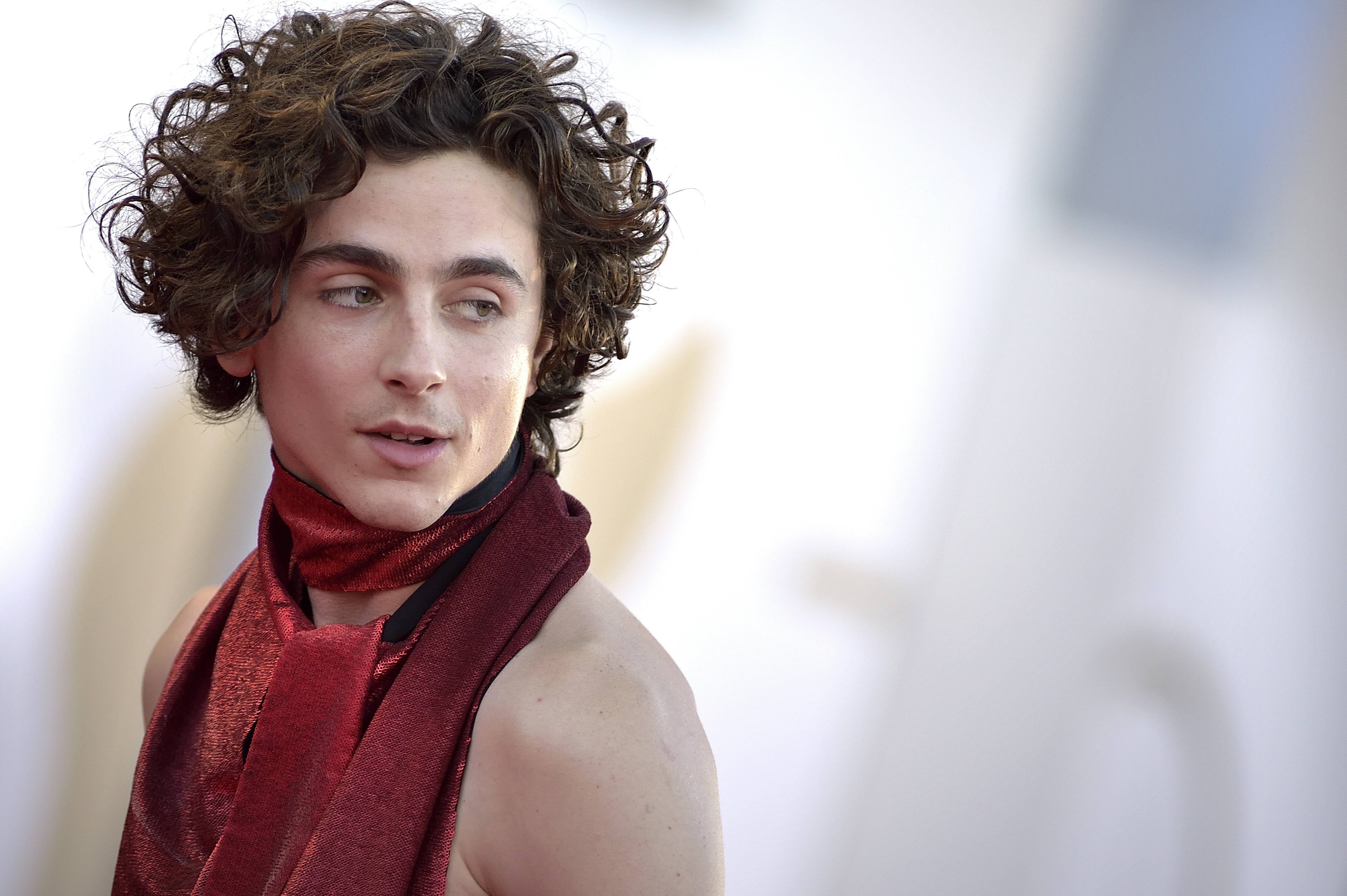 Timothée Chalamet