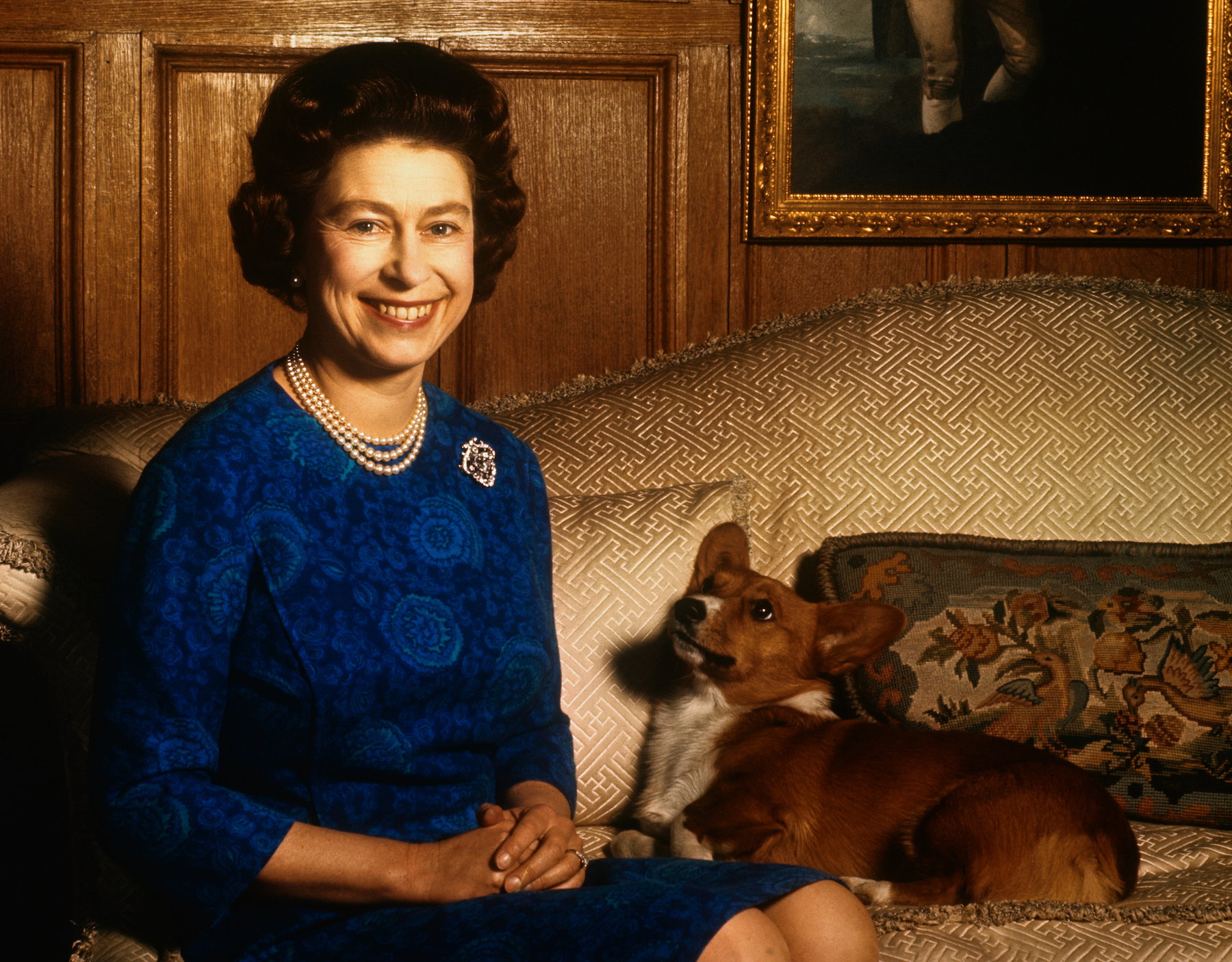 Kto się zajmie corgi królowej Elżbiety po śmierci monarchini? Wiemy, co będzie z pieskami