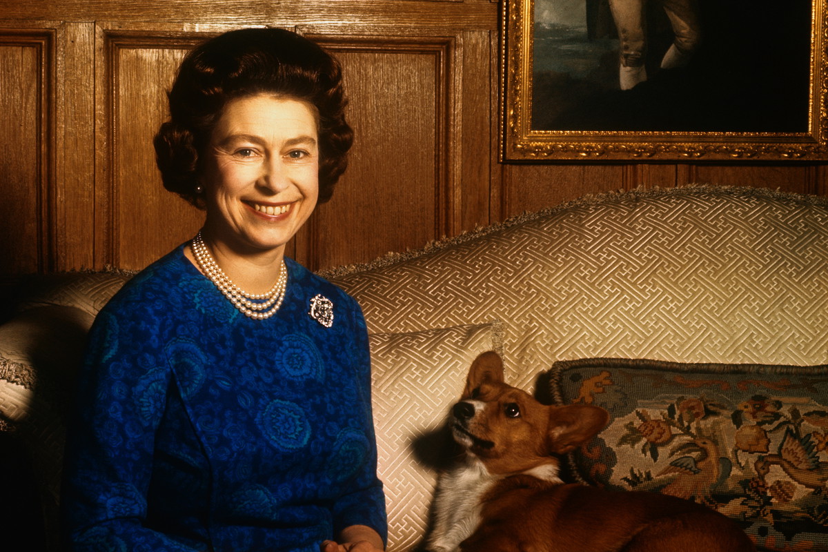 Kto się zajmie corgi królowej Elżbiety po śmierci monarchini? Wiemy, co będzie z pieskami