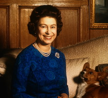 Kto się zajmie corgi królowej Elżbiety po śmierci monarchini? Wiemy, co będzie z pieskami