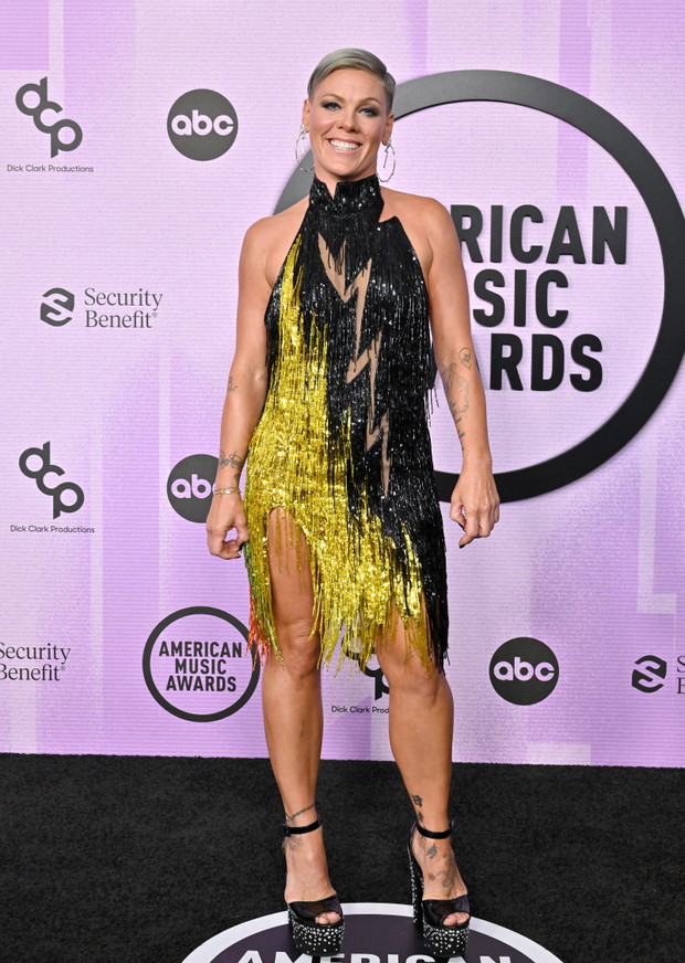 American Music Awards 2022: Pink