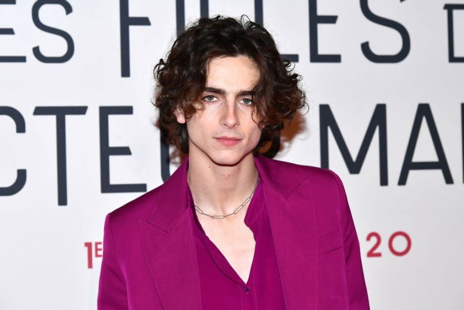 Timothée Chalamet zagra Boba Dylana. Podobny?