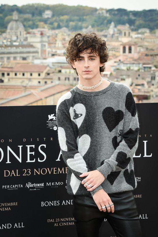 Timothee Chalamet zagra Boba Dylana