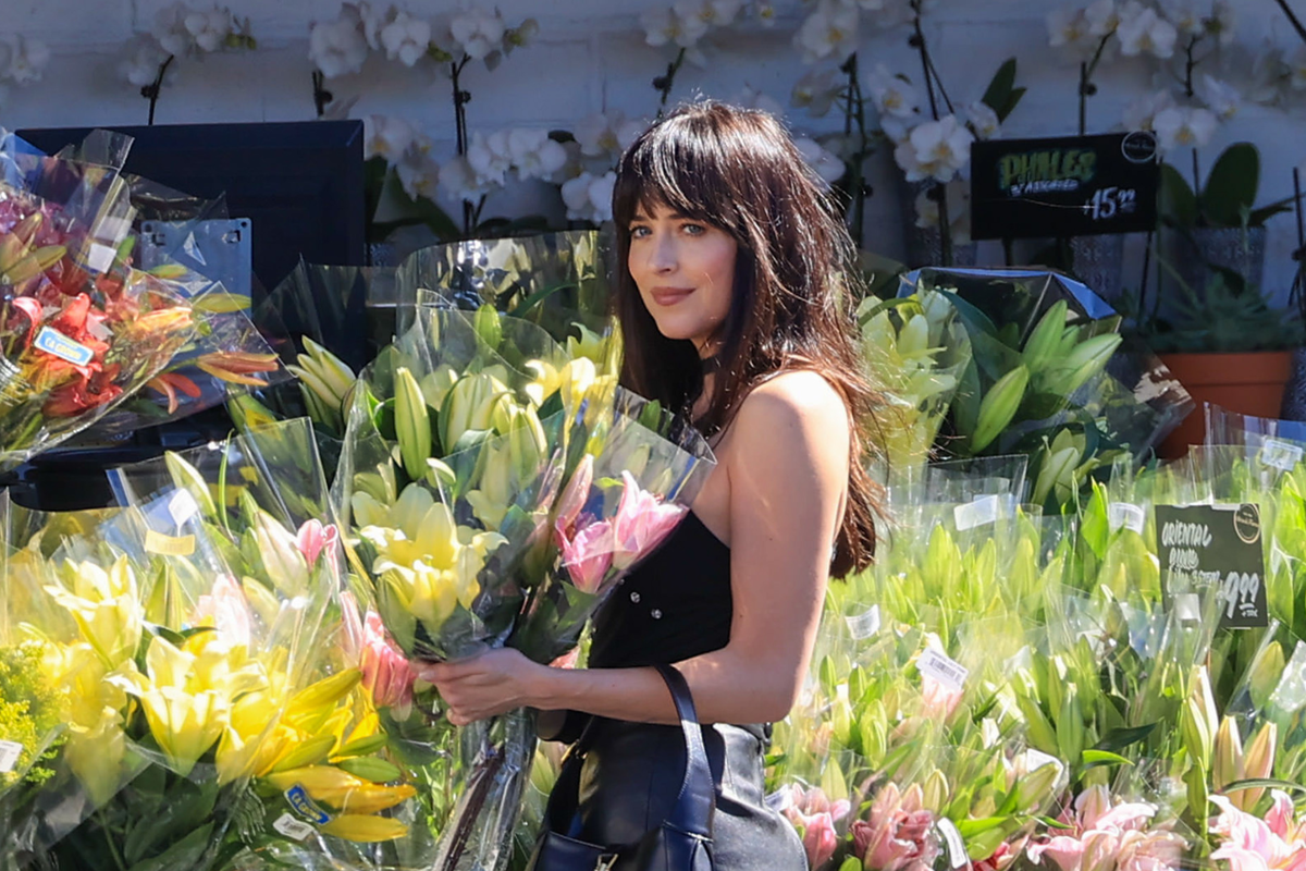 Dakota Johnson