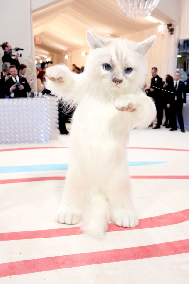 Met Gala 2023: Jared Leto jako Choupette