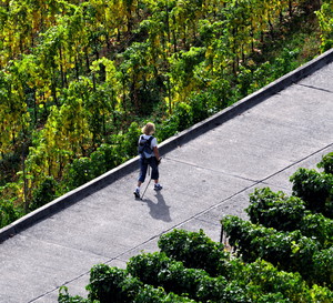 Nordic Walking