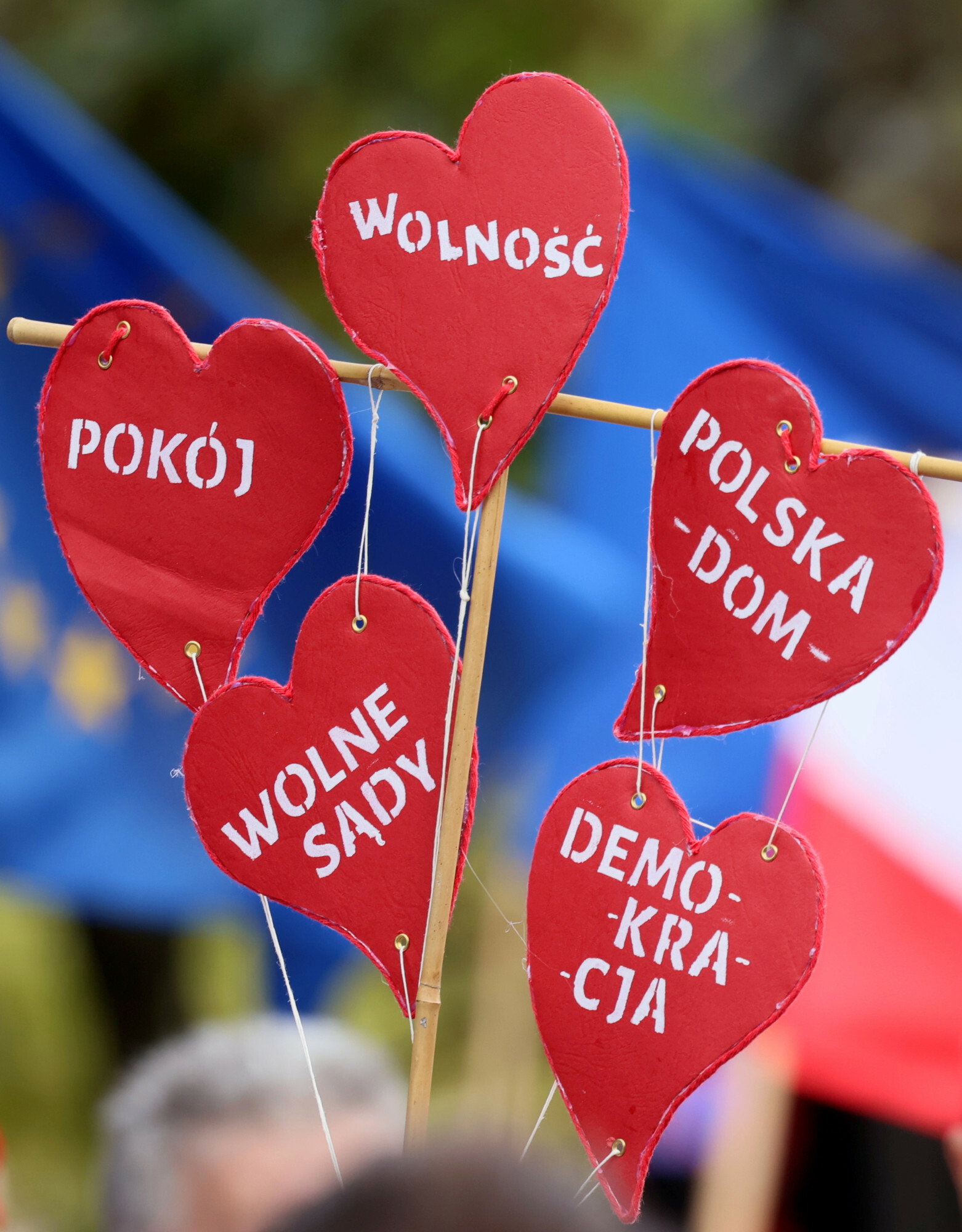 wolne sądy