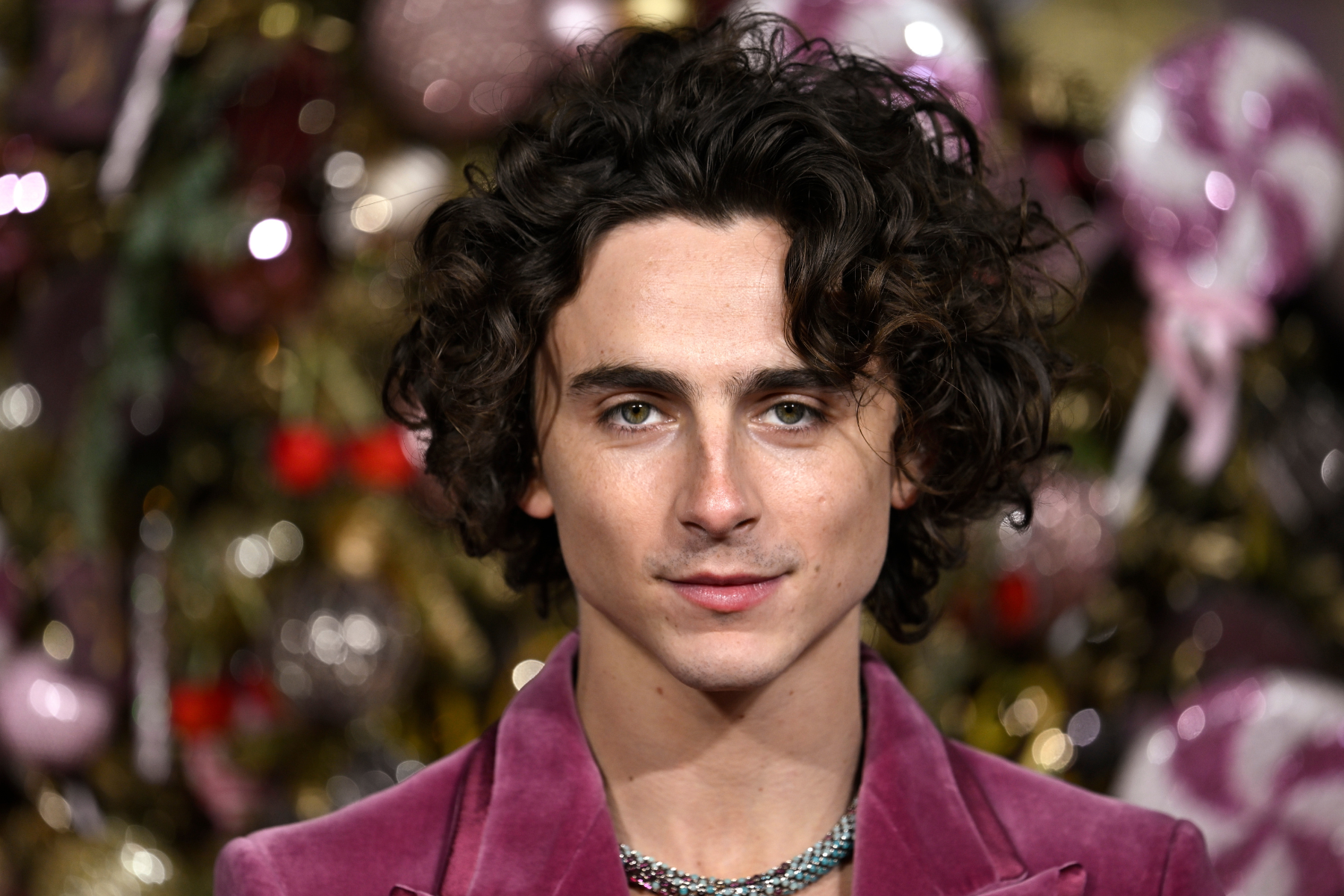 Timothée Chalamet na premierze filmu „Wonka”