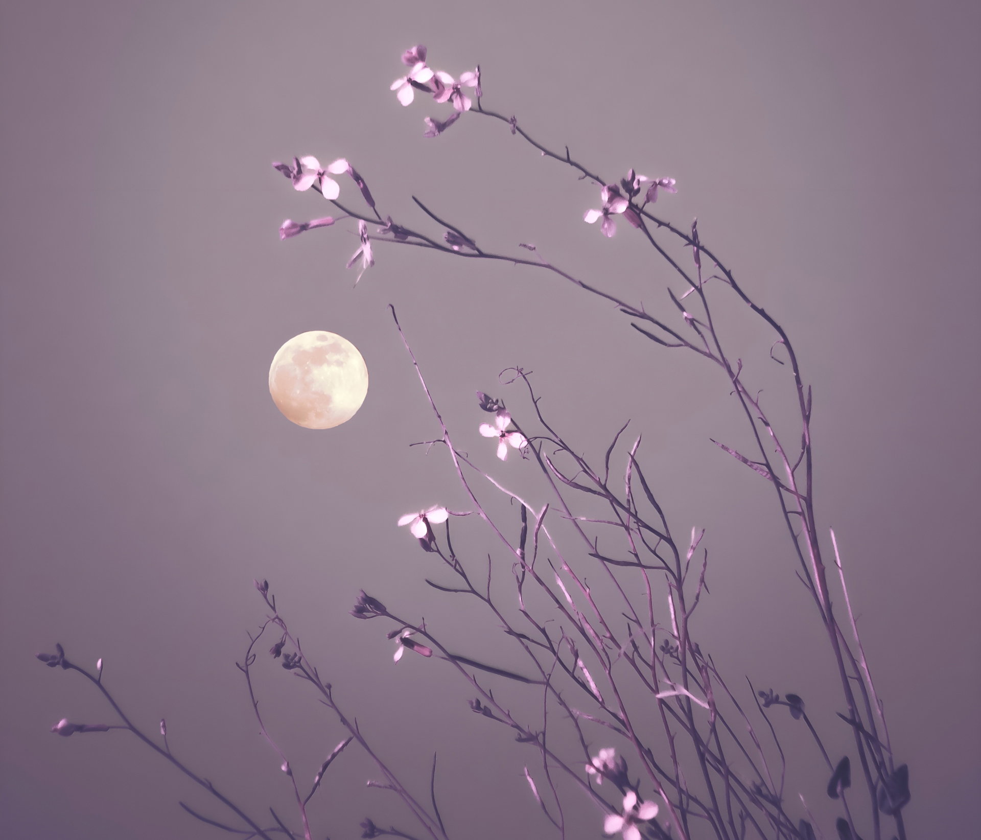 full moon