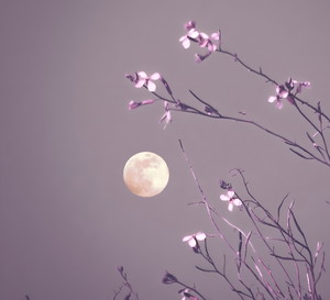 full moon