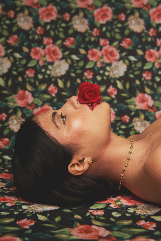 Kampania Kopi Rose