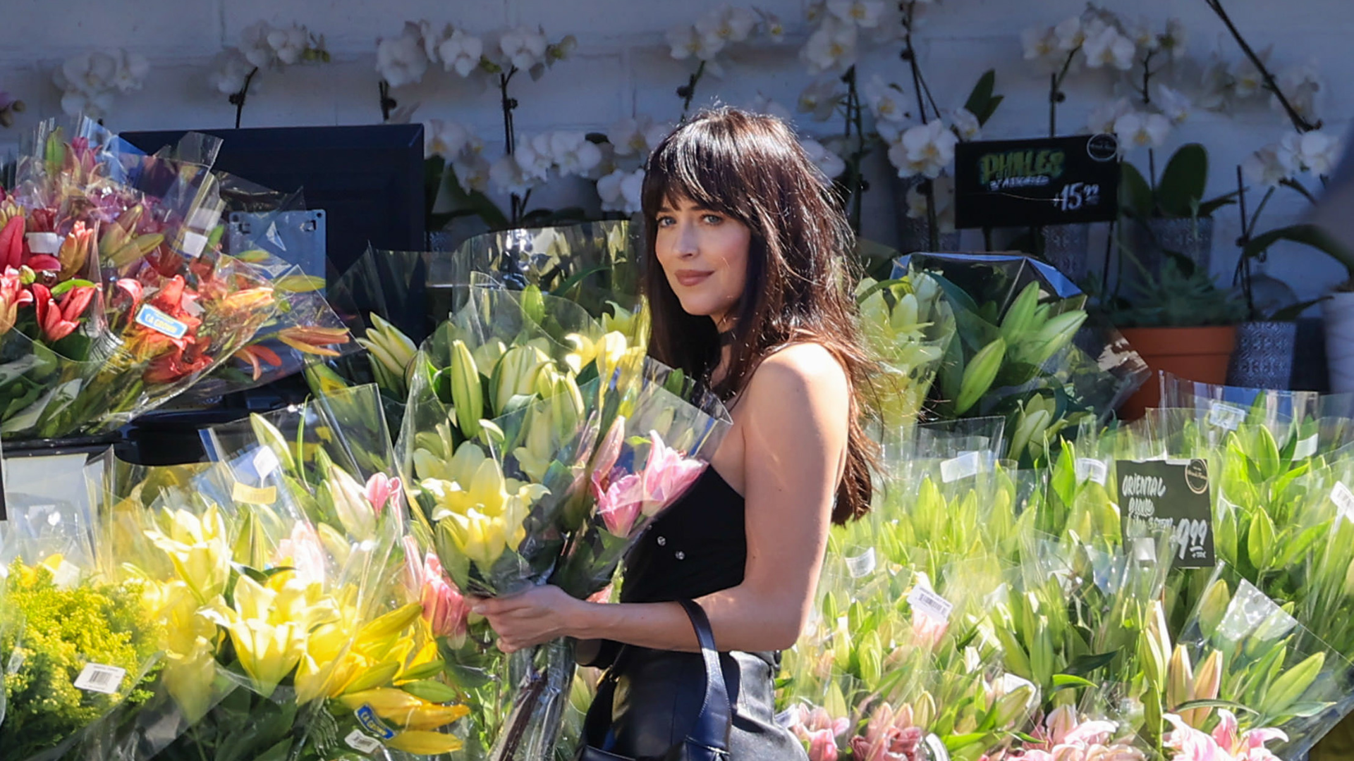 Dakota Johnson