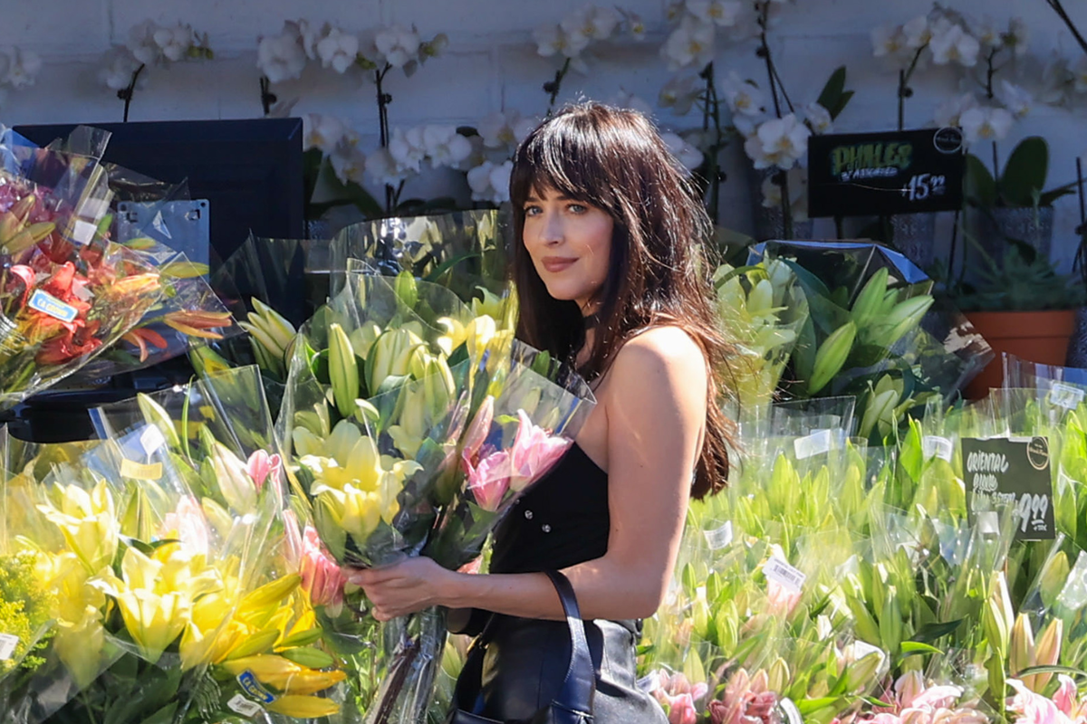 Dakota Johnson