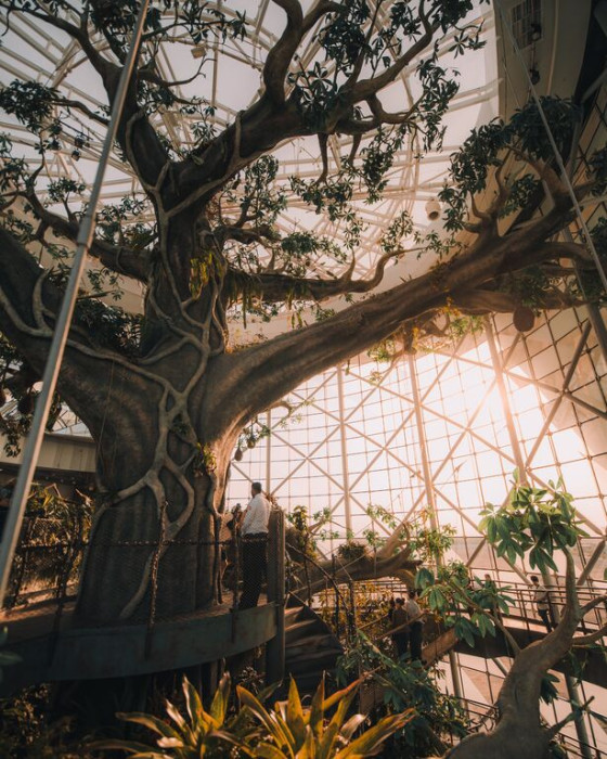 df73e7f185caaa510191bf0ce2db36aa3931970e-fc7bef0