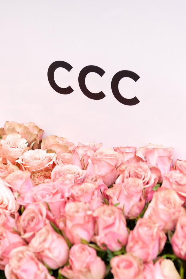 CCC JENNY FAIRY - event Rose Garden