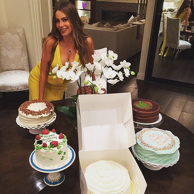via @ sofiavergara Instagram