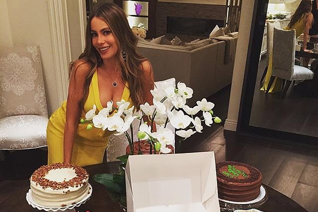 via @ sofiavergara Instagram